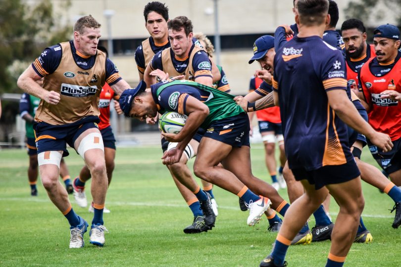 The Brumbies training