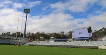 Probing the polls: COVID information criticism and could we host a Canberra Olympics?
