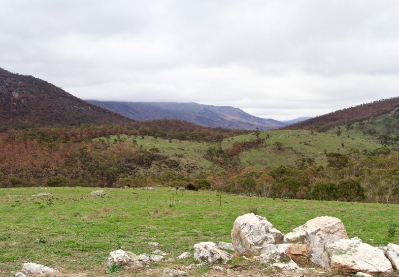 Orroral Valley in March