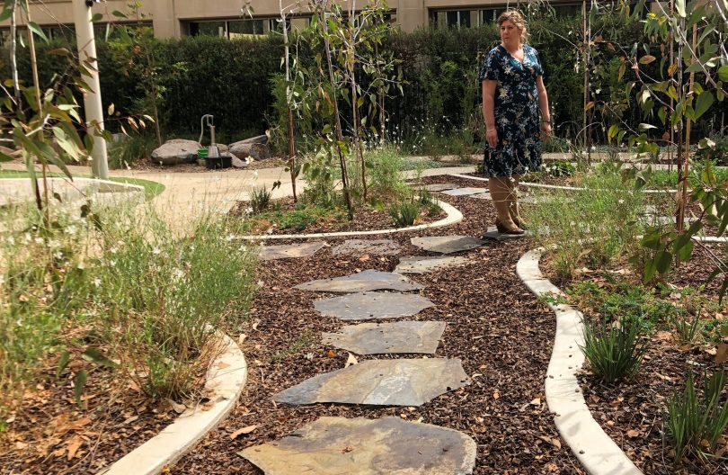 Melita Pendergast at the Abacus garden