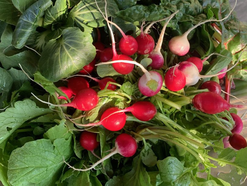 Radishes