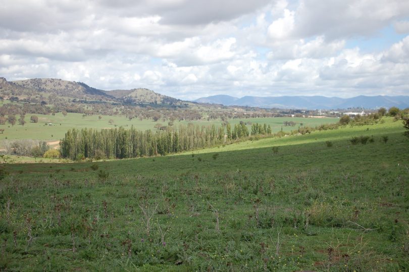 The Poplars Precinct