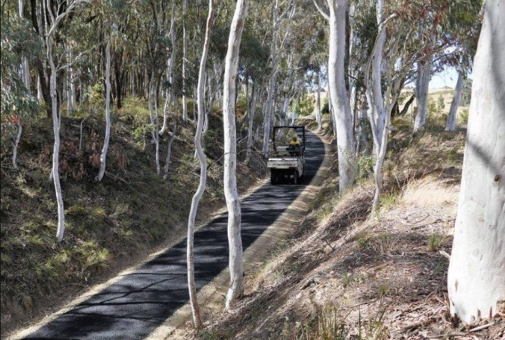 Tumbarumba to Rosewood Rail Trail