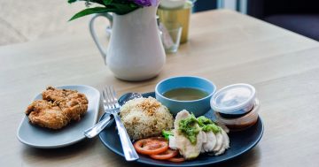 Unearthing Singapore chicken rice at Cafe Prosper, a cultural food gem in Fyshwick's industrial area