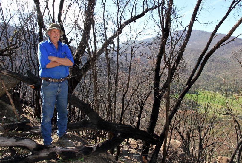 Steve Angus standing among burnt trees on his property at Namadgi National Park.