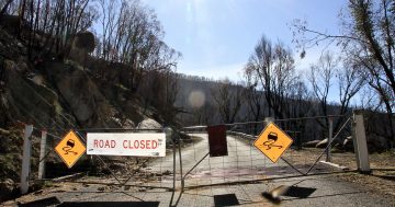 New jobs for Canberrans to help bushfire recovery in Namadgi