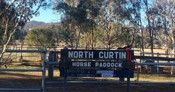 Giulia Jones backs petition to save North Curtin Horse Paddock