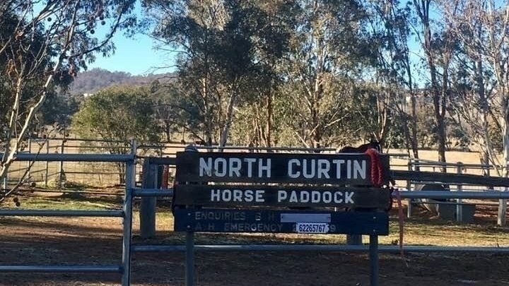 North Curtin Horse Paddocks