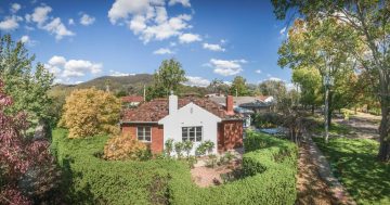 Light, bright living in a re-imagined red brick cottage in Ainslie