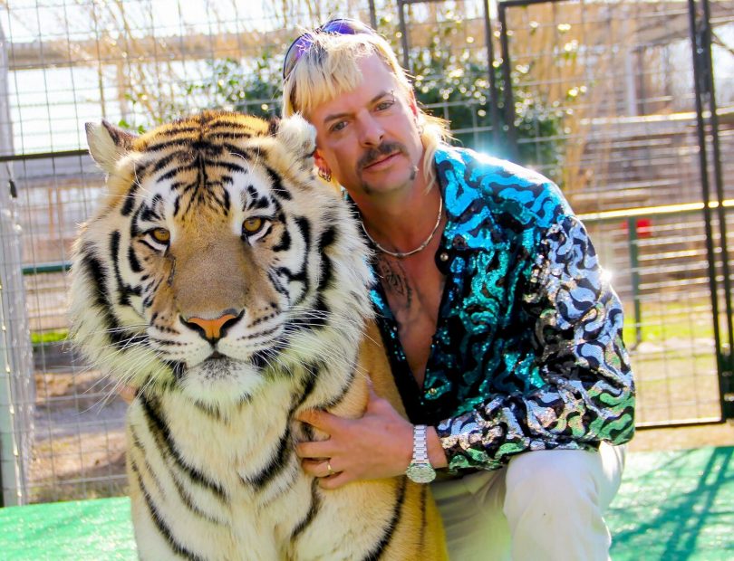 Joe Exotic with tiger from Netflix series Tiger King.