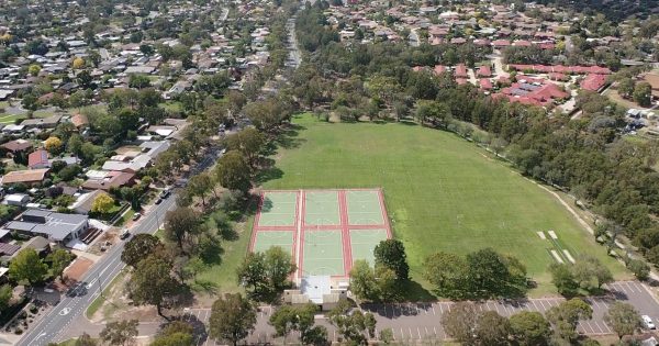 Labor joins tree election battle with draft Urban Forest Strategy release