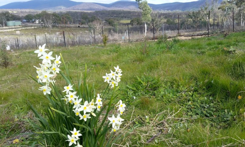 Life returns to the fields