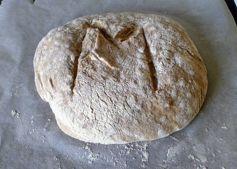 The sourdough ready to bake