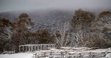 Ski resorts to miss June long weekend reopening