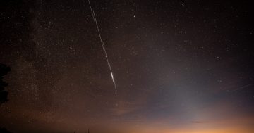 Stargazers show up as rare meteor shower lights up the night