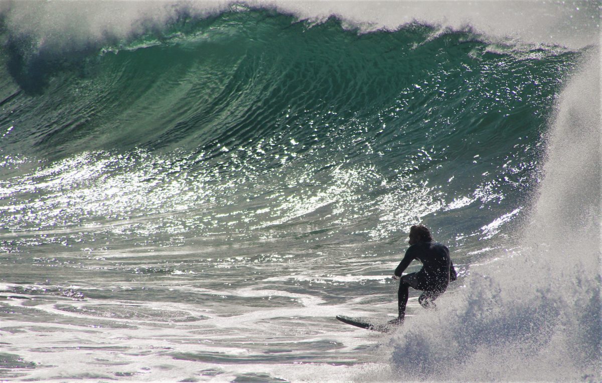 A surfer Moruya Breakwall negotiates a large swell that hit the coastline last weekend.