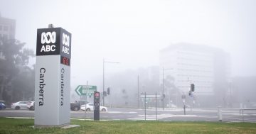 Jobs cuts heralded for ABC Canberra as staff discover plans from press release