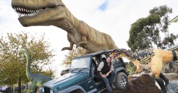 Ten things to do in Canberra this week (7 - 13 August)