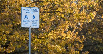 Cyclist dies after Lake Tuggeranong bike path collision