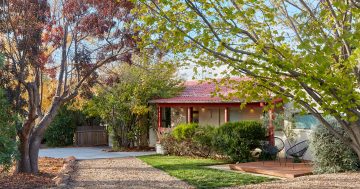 Family home with a great style and vibe (and outdoor pet washer)