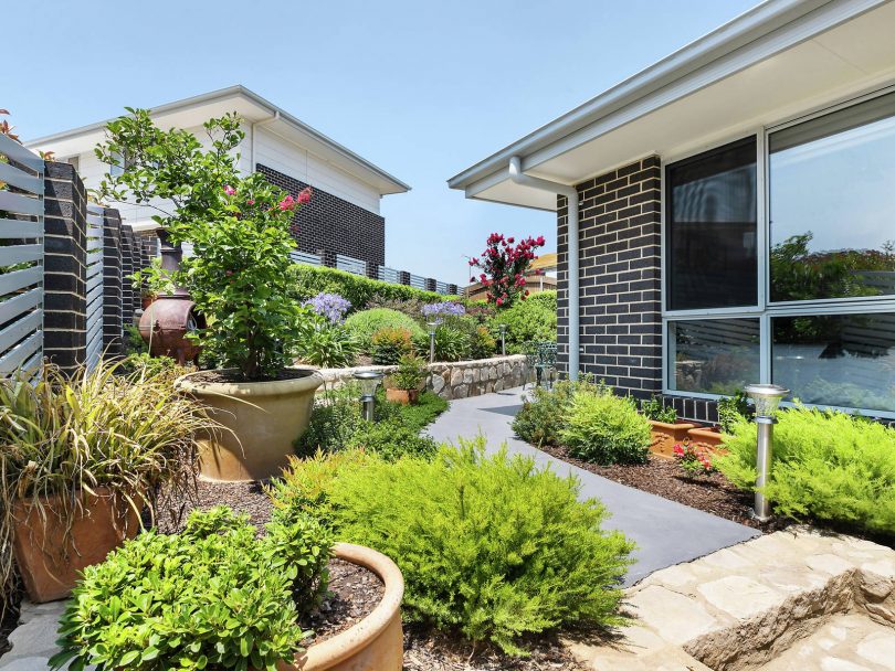 Landscaped easy care garden