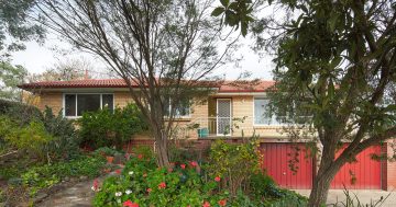 Family home is a Canberra gardener's dream come true
