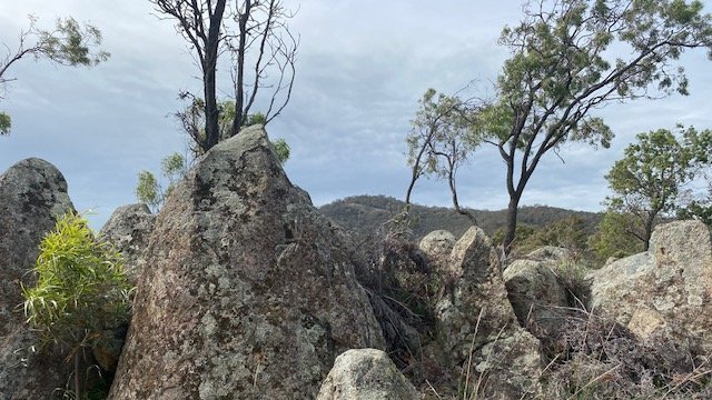 The volcanic outcrops on Mt Ainslie