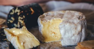 Kinnoul Hill Camembert is a favourite, made from the Jersey herd's milk.