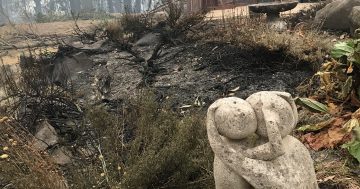 Six months on, bushfire scars remain