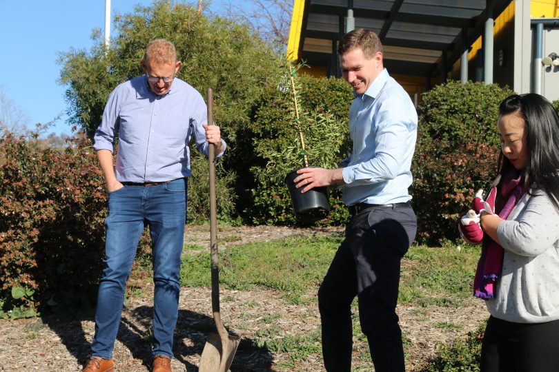 Canberra Liberals planting trees