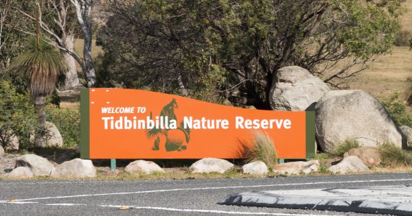 Tidbinbilla fee-free for the rest of the year