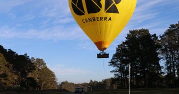 CBR hot air balloon has a close shave with Yarralumla's trees