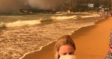 Report: Canberrans travelling to South Coast during bushfires didn't think they would be affected