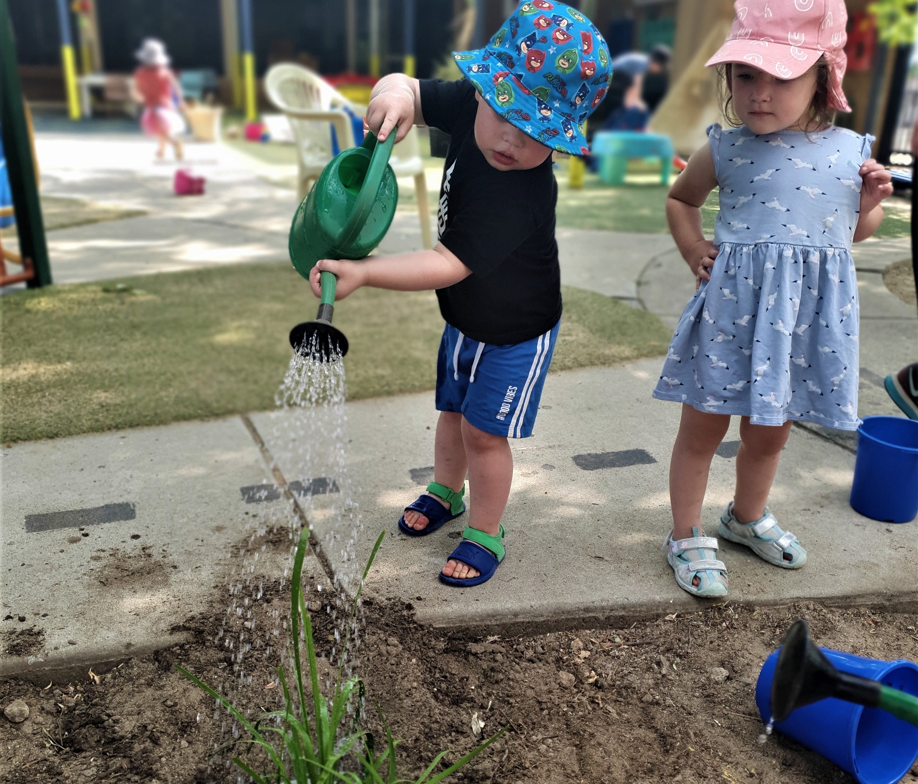 Children watering bush food garden.