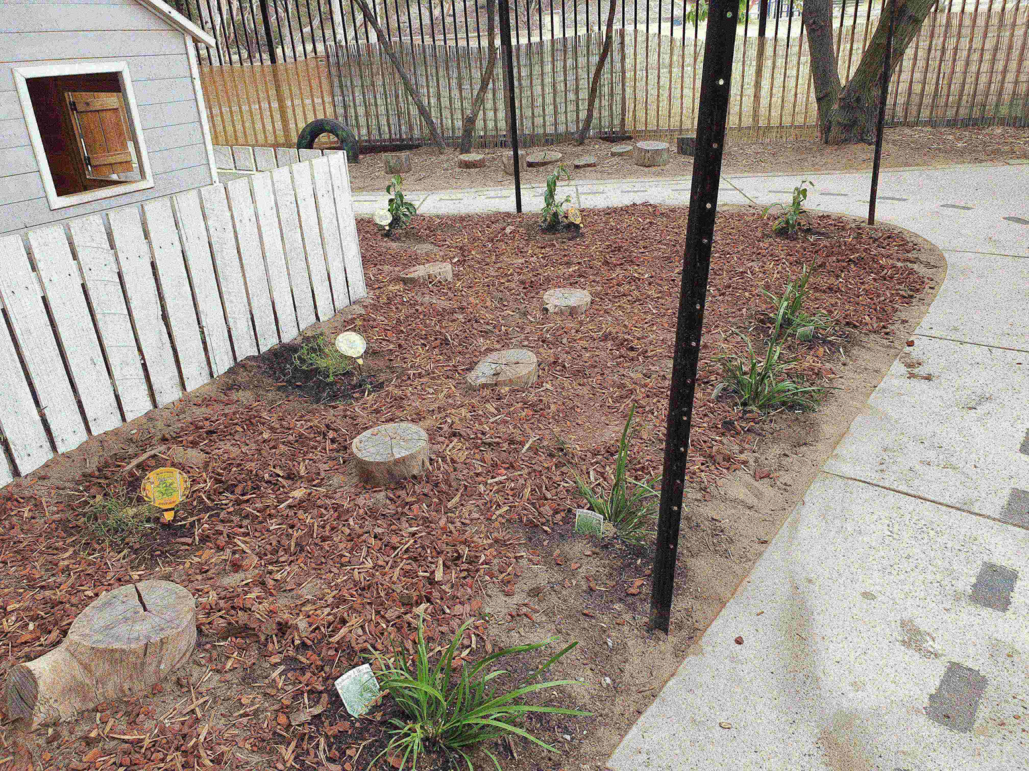 Bush tucker garden at Richardson Child Care and Education Centre.