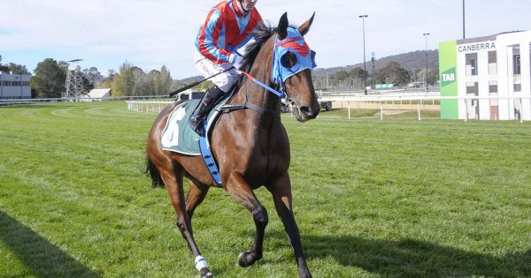 Canberra Apprentice of the Year a special talent