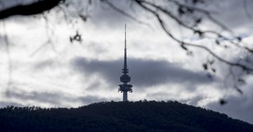 Black Mountain: a Canberra icon and a wilderness in our midst