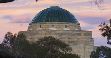 War Memorial volunteers face chop if they speak out on redevelopment