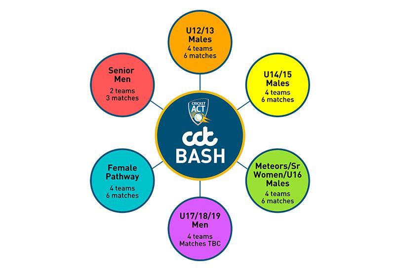 Diagram of components of Cricket ACT's CBC Bash.