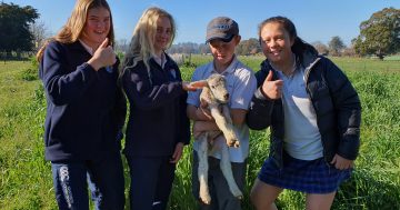 'Questacon of agriculture' to entice next generation of farmers