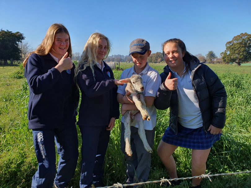 From left: Crookwell High School year 8 agriculture students Chloe Kemp, Emma Ward, Noah Evans, Mya Hape.