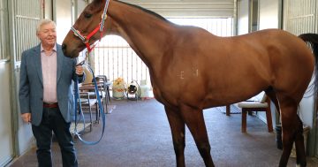 Happy coincidence for recently retired Paul Miller at Thoroughbred Park