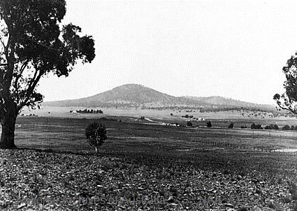 Mount Majura pictured in the 1910s.
