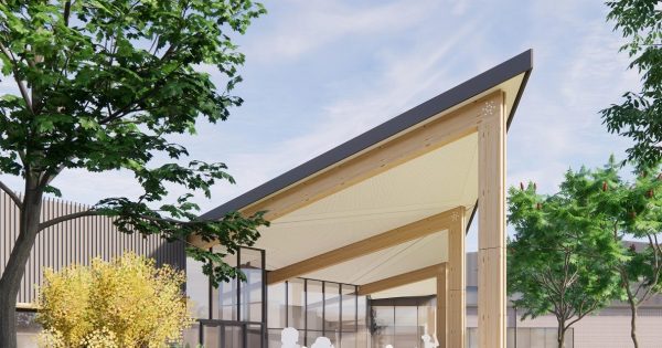 Community to choose name and uniform of new public school in Throsby