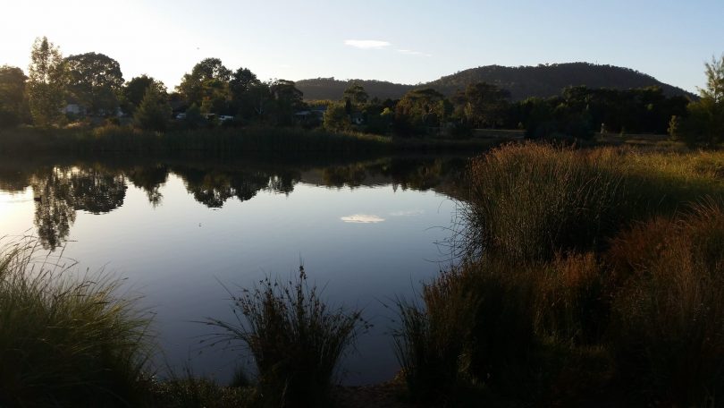 Dickson wetlands