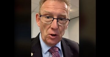 Canberra MLA kicked out of Assembly over TikTok video