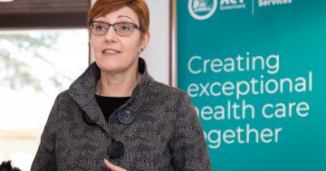 ACT Government fails to improve healthcare for chronic conditions, audit finds