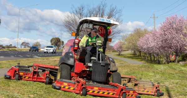 Faces of Canberra: Gino Giucci the Mowing King