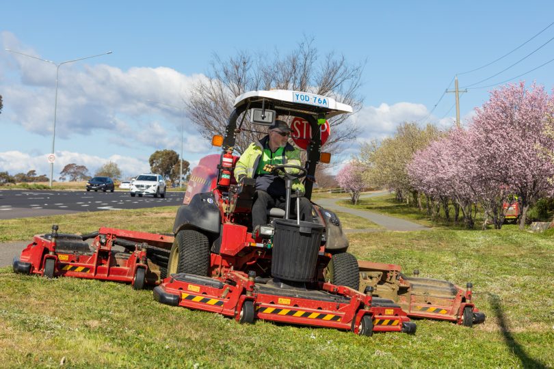 Gino Giucci on the job on his new Bayldon Ag mower