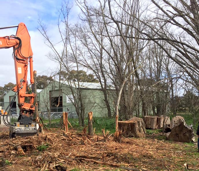 Trees being removed at Bungendore